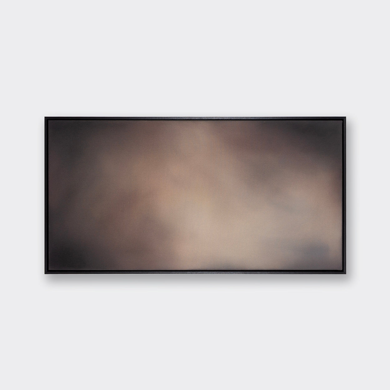 'Black Beauty' artwork (Landscape)